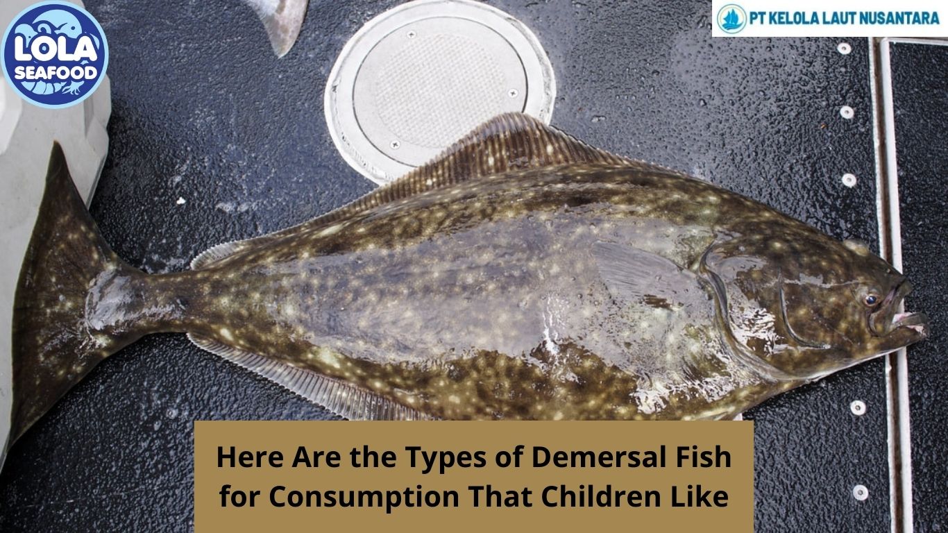 Here Are the Types of Demersal Fish for Consumption That Children Like